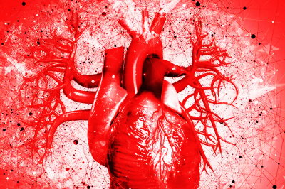 Gangguan Sakit Jantung Manusia